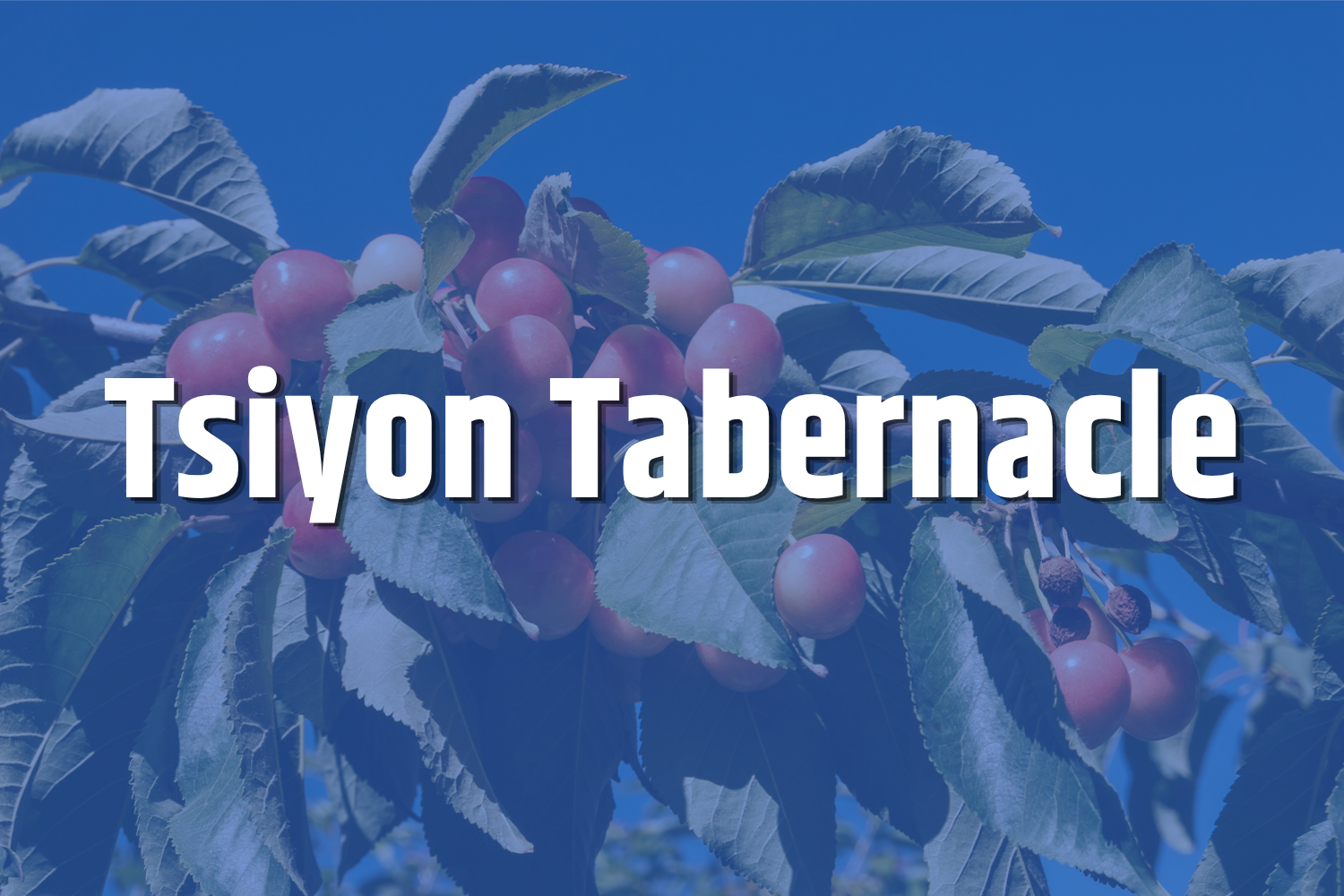 Join Tsiyon Tabernacle