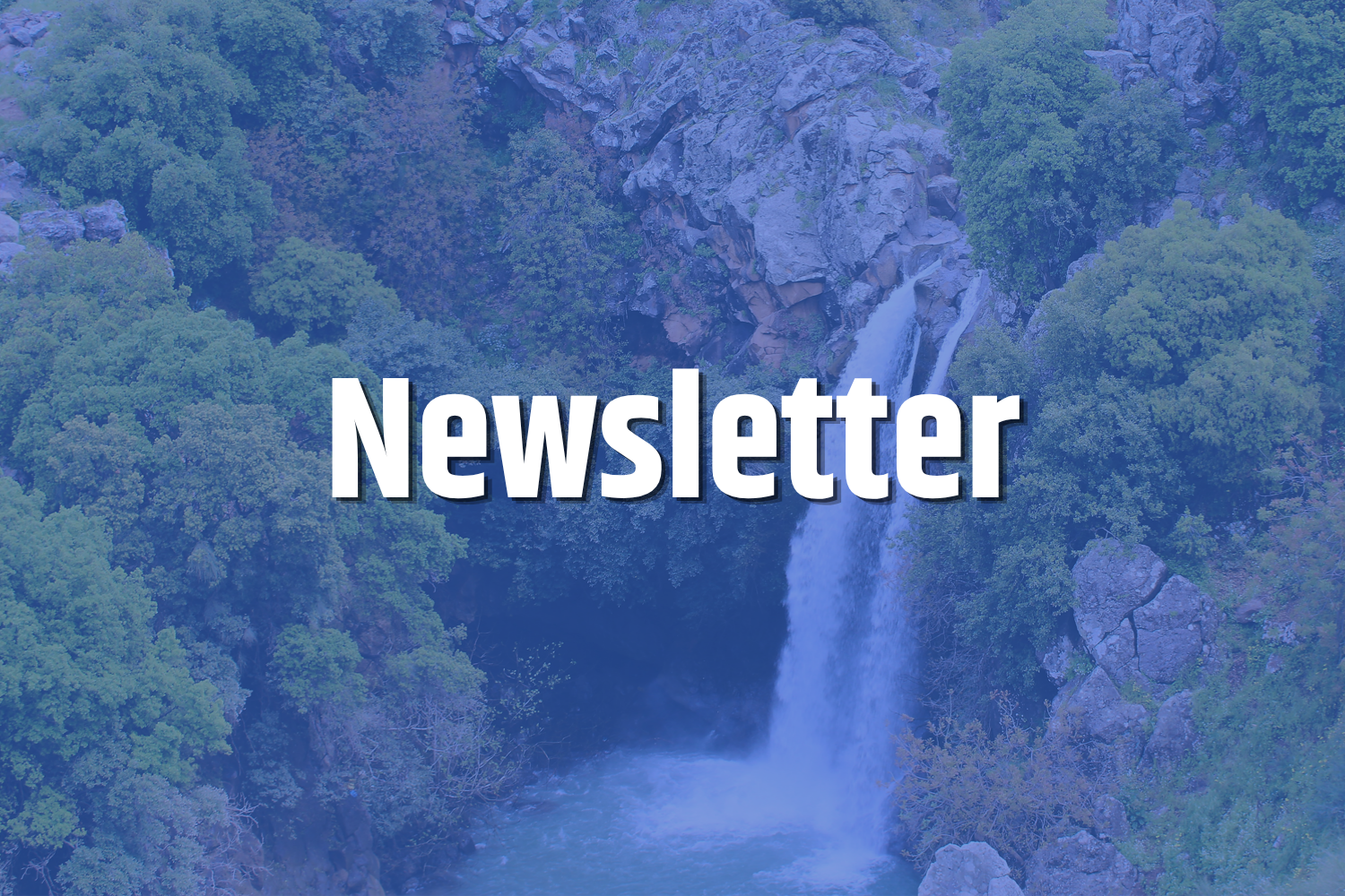Tsiyon Newsletter