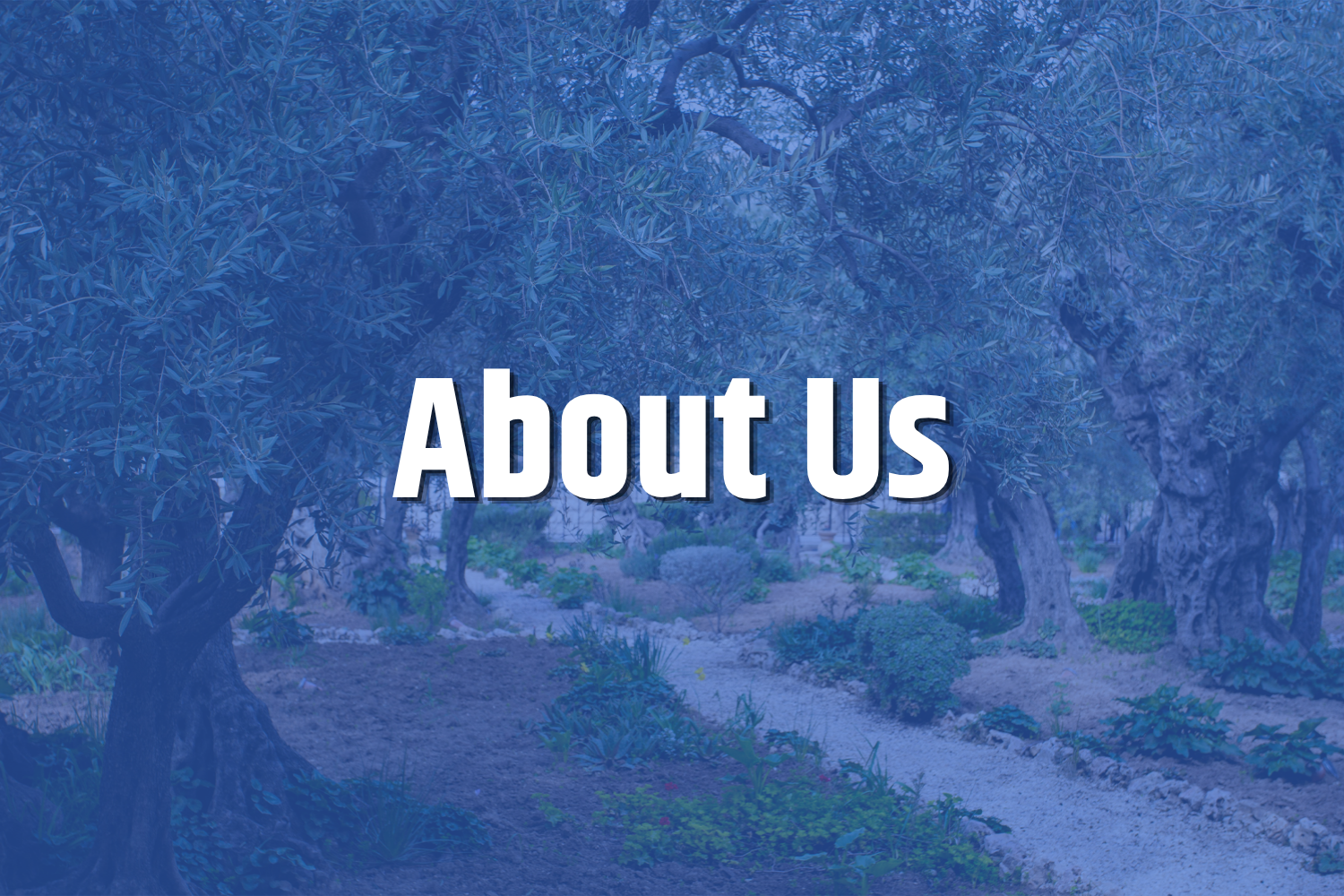 About Us